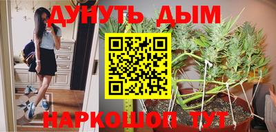 стаф Будённовск