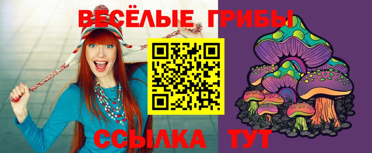 Псилоцибиновые грибы мухоморы Озёры
