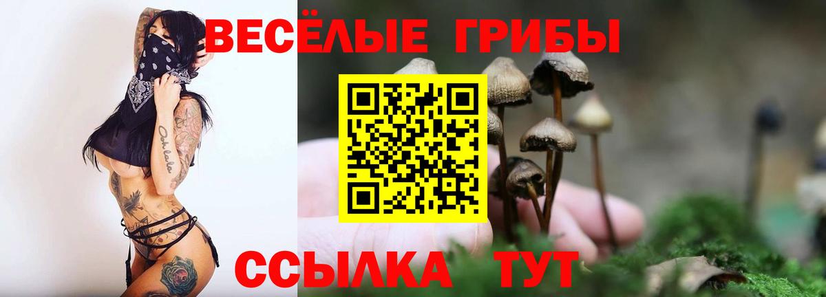 Озёры  Галлюциногенные грибы GOLDEN TEACHER  Галлюциногенные грибы Magic Shrooms  Вход с VPN 